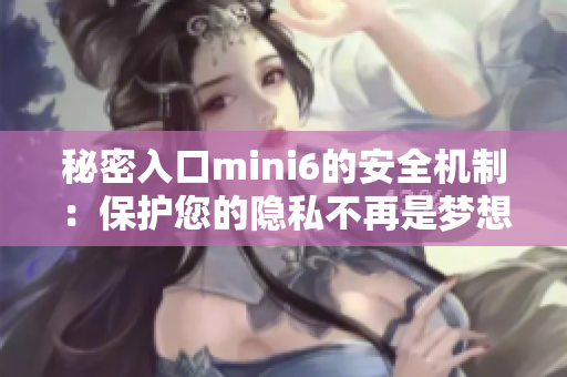 秘密入口mini6的安全机制：保护您的隐私不再是梦想