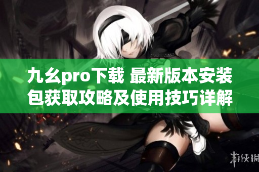九幺pro下载 最新版本安装包获取攻略及使用技巧详解