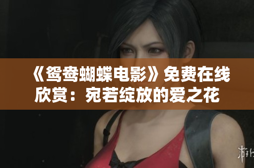 《鸳鸯蝴蝶电影》免费在线欣赏：宛若绽放的爱之花