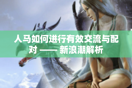 人马如何进行有效交流与配对 —— 新浪潮解析