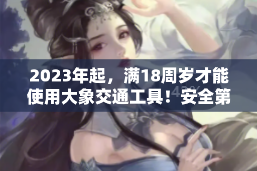 2023年起，满18周岁才能使用大象交通工具！安全第一！