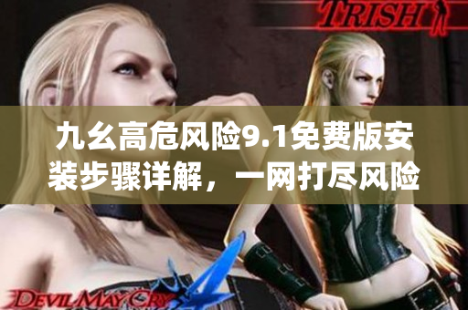 九幺高危风险9.1免费版安装步骤详解，一网打尽风险隐患！(1)