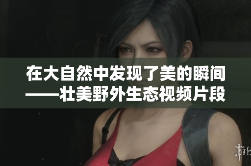 在大自然中发现了美的瞬间——壮美野外生态视频片段
