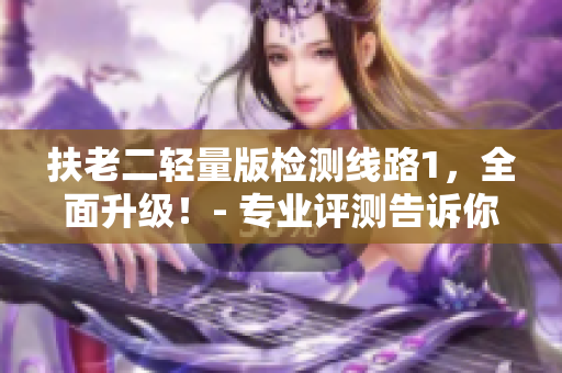 扶老二轻量版检测线路1，全面升级！- 专业评测告诉你更多