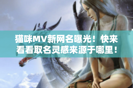猫咪MV新网名曝光！快来看看取名灵感来源于哪里！