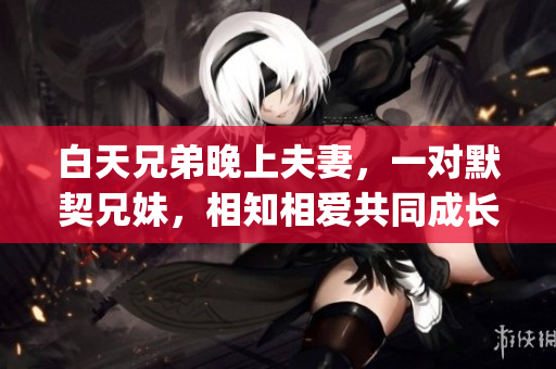 白天兄弟晚上夫妻，一对默契兄妹，相知相爱共同成长。(1)