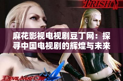 麻花影视电视剧豆丁网：探寻中国电视剧的辉煌与未来