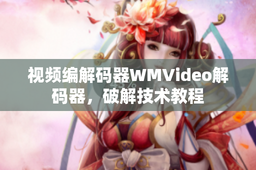 视频编解码器WMVideo解码器，破解技术教程
