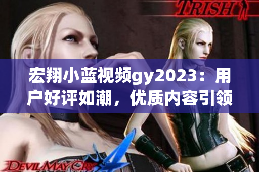 宏翔小蓝视频gy2023：用户好评如潮，优质内容引领新潮流