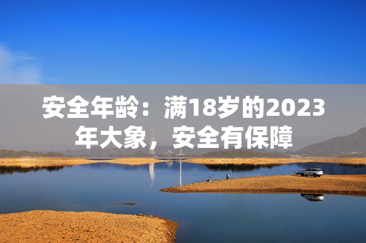 安全年龄：满18岁的2023年大象，安全有保障