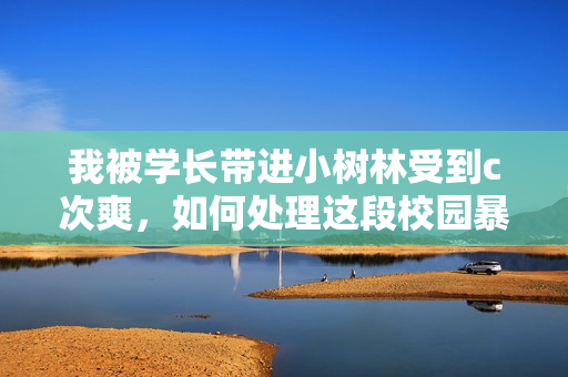 我被学长带进小树林受到c次爽，如何处理这段校园暴力经历？