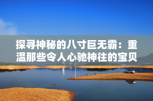 探寻神秘的八寸巨无霸：重温那些令人心驰神往的宝贝记忆