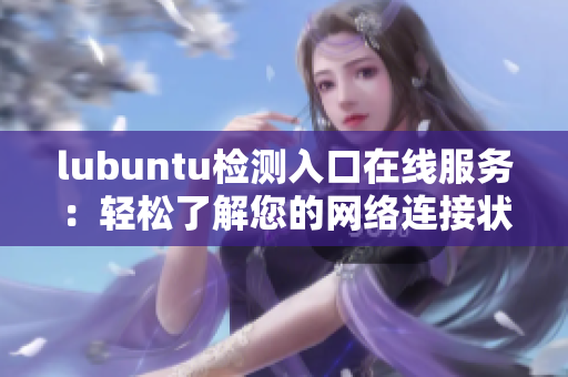 lubuntu检测入口在线服务：轻松了解您的网络连接状态