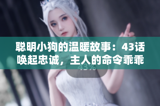 聪明小狗的温暖故事：43话唤起忠诚，主人的命令乖乖遵从