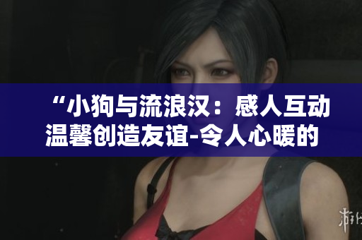 “小狗与流浪汉：感人互动温馨创造友谊-令人心暖的视频”