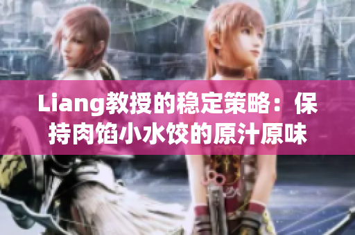 Liang教授的稳定策略：保持肉馅小水饺的原汁原味