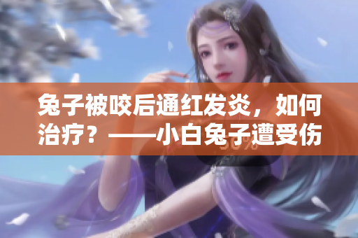兔子被咬后通红发炎，如何治疗？——小白兔子遭受伤害急需救治