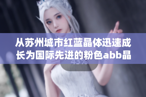 从苏州城市红蓝晶体迅速成长为国际先进的粉色abb晶体制造企业(1)