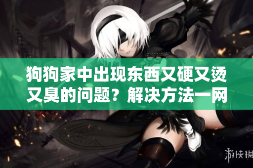 狗狗家中出现东西又硬又烫又臭的问题？解决方法一网打尽