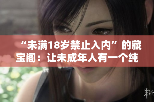 “未满18岁禁止入内”的藏宝阁：让未成年人有一个纯净的网络世界