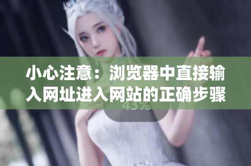 小心注意：浏览器中直接输入网址进入网站的正确步骤和注意事项(1)