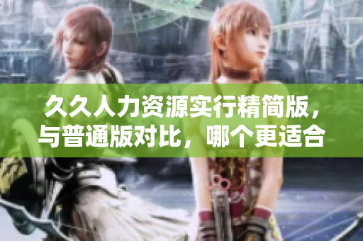 久久人力资源实行精简版，与普通版对比，哪个更适合您的企业？