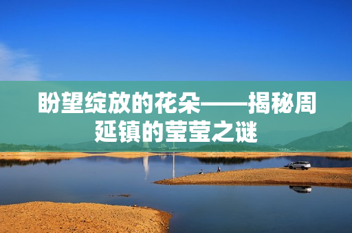 盼望绽放的花朵——揭秘周延镇的莹莹之谜