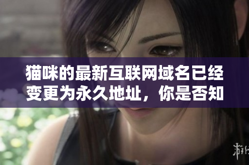 猫咪的最新互联网域名已经变更为永久地址，你是否知道是什么？