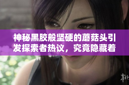 神秘黑胶般坚硬的蘑菇头引发探索者热议，究竟隐藏着怎样的神秘力量？