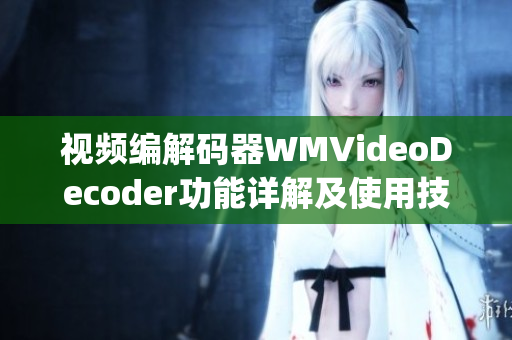 视频编解码器WMVideoDecoder功能详解及使用技巧(1)
