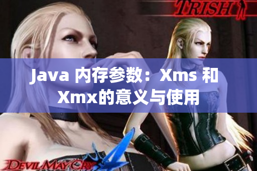 Java 内存参数：Xms 和 Xmx的意义与使用