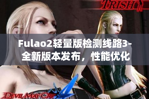 Fulao2轻量版检测线路3- 全新版本发布，性能优化效果显著(1)