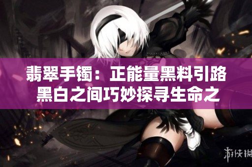 翡翠手镯：正能量黑料引路 黑白之间巧妙探寻生命之道