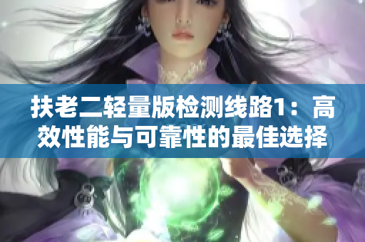 扶老二轻量版检测线路1：高效性能与可靠性的最佳选择
