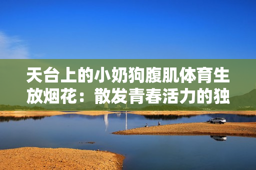天台上的小奶狗腹肌体育生放烟花：散发青春活力的独特风采