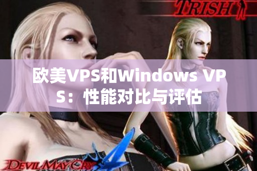 欧美VPS和Windows VPS：性能对比与评估