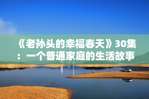 《老孙头的幸福春天》30集：一个普通家庭的生活故事
