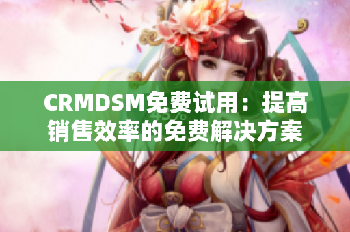 CRMDSM免费试用：提高销售效率的免费解决方案
