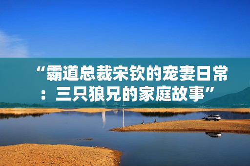 “霸道总裁宋钦的宠妻日常：三只狼兄的家庭故事”