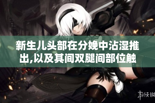 新生儿头部在分娩中沾湿推出,以及其间双腿间部位触感较硬的描述